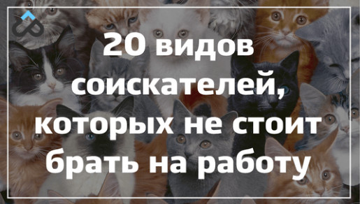 20 видов соискателей, которых не стоит брать на работу